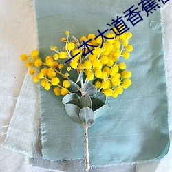 一本大道香蕉在線觀看視頻