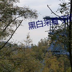 黑白来看守所