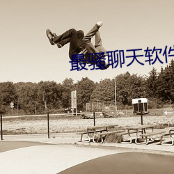 最骚聊(聊)天软(軟)件
