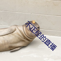不正經的直播