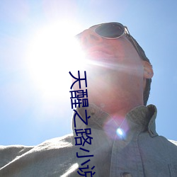 天醒之路小說