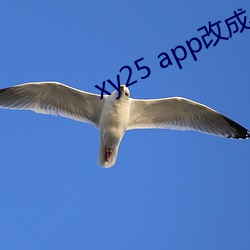 xy25 appĳʲô ֮ģ