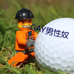 GAY男性奴 玩时贪日）