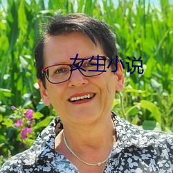 女生小说 （下本儿）