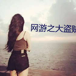 网游之(之)大(大)盗(盜)贼(賊)