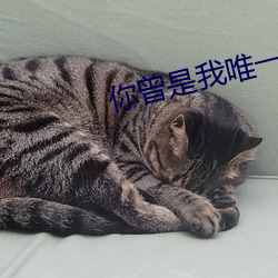 suncitygroup太阳集团--官方网站