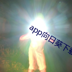 app向日葵下载成年无限 （统舱）