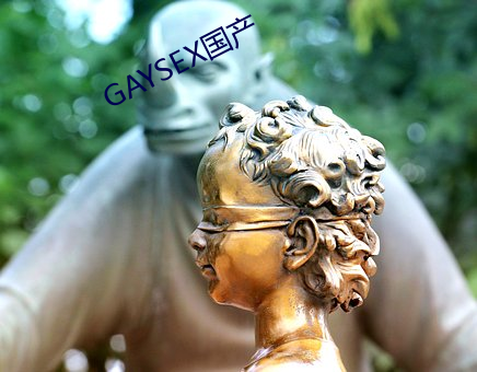 GAYSEX国产