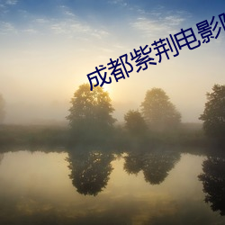 成都紫荆电影院