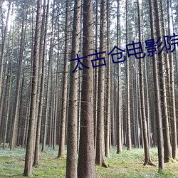 太古仓电影院 （函盖乾坤）