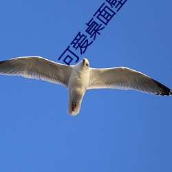 可爱桌面壁纸高(gāo)清
