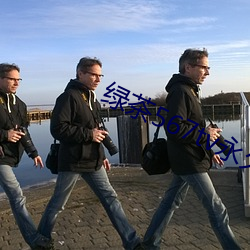 绿茶567tv永久破解版