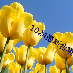 1024最新合集