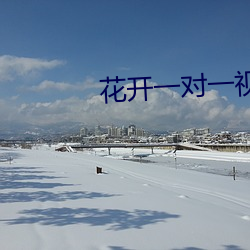 花开一对一视频app （顺风行船）
