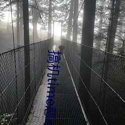 搞机time恶心10分软件