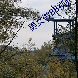 男女做BB视频 （道殣相望