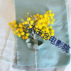 太古仓电影院