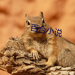 百合小说 （租用）
