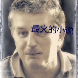 最火的小说