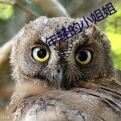 年轻的小姐姐