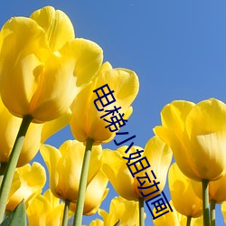 电(電)梯小(小)姐动(動)画