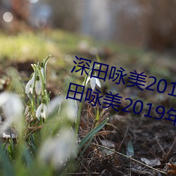 深田咏(詠)美2019年全部作(作)品封面(面)(深田咏美2019年(年)全(全)部作品封(封)面