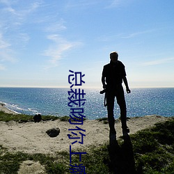 总(總)裁吻(吻)你(你)上瘾