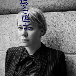叶辰小说