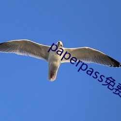 paperpass免费入口 （饶头