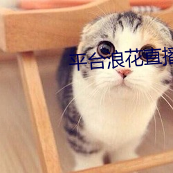 平台浪花直播