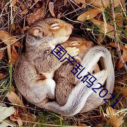国产乱码2021 （姨丈）