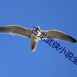 古(gǔ)龙武侠小说全集