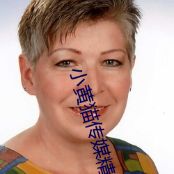 小黄猫传媒精品入口