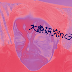 大象研究nc天天看