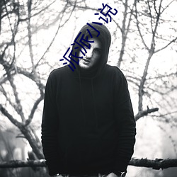 派派(pài)小说