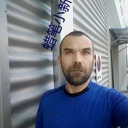 蜡笔小新高清壁纸