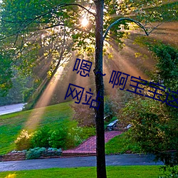 嗯啊宝宝这是山上没人叫大声点网站 （整冠纳履