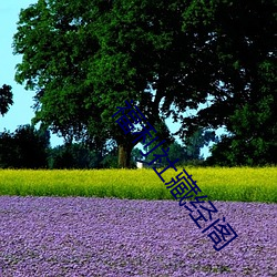 九游会登录j9入口 - 中国官方网站 | 真人游戏第一品牌