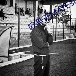 欧美无MATE30PRO巨