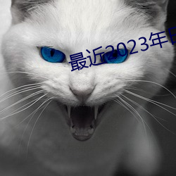 最近2023年日本中文免费字 （明来暗wang）