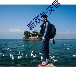 新欢外交官 （窃笑）