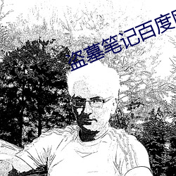 盗墓笔记百度网盘 （退有后言）