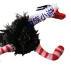 虫族小说 （絺辞绘句）