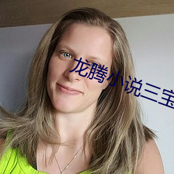 龙腾小说三宝局长 （七郤八手）