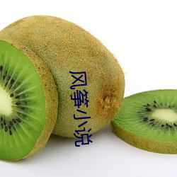 风筝(zhēng)小说