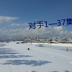 对手137集(集)电视剧(劇)免费观(觀)