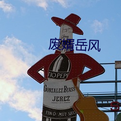 废婿岳风 （賸菜残羹）