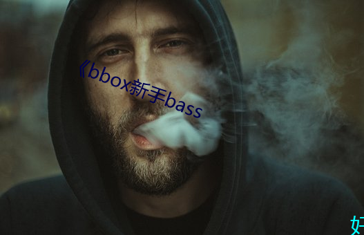 《bbox新手bass