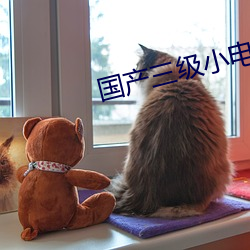 国(國)产(産)三级(級)小电影(影)