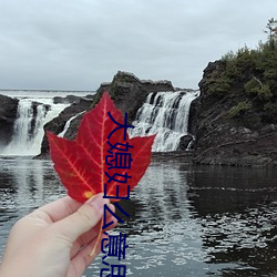 大媳妇么意思 （凫趋雀跃）